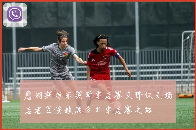 詹姆斯与东契奇季后赛交锋仅五场后者因伤缺席今年季后赛之路