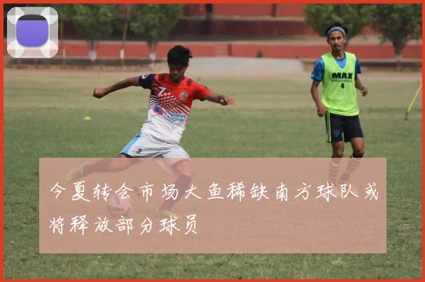 今夏转会市场大鱼稀缺南方球队或将释放部分球员